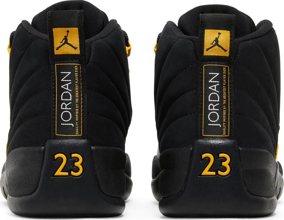 Air Jordan 12 Retro 'Black Taxi' CT8013-071